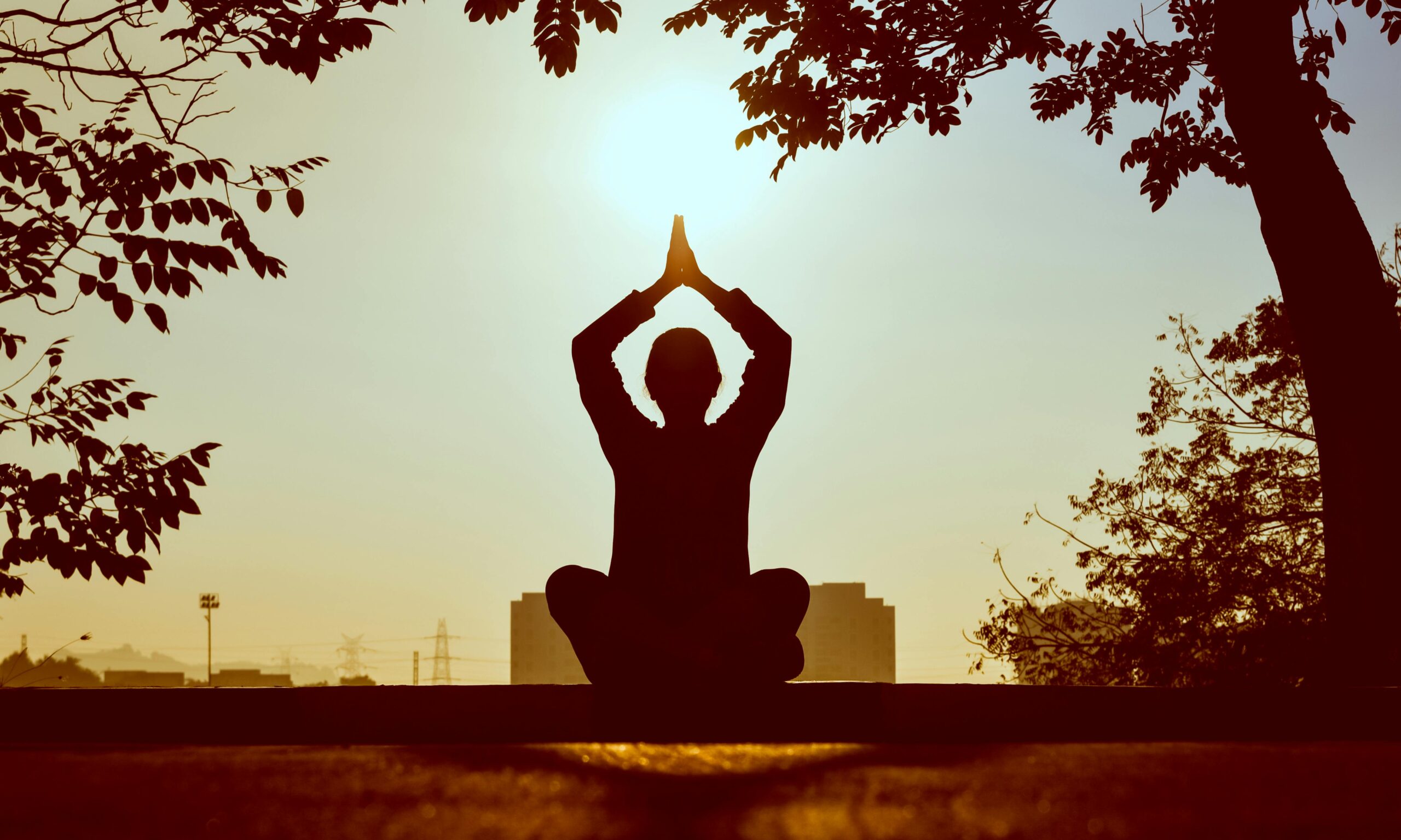 A serene individual meditating outdoors in a lush green park, symbolizing mindfulness and relaxation.